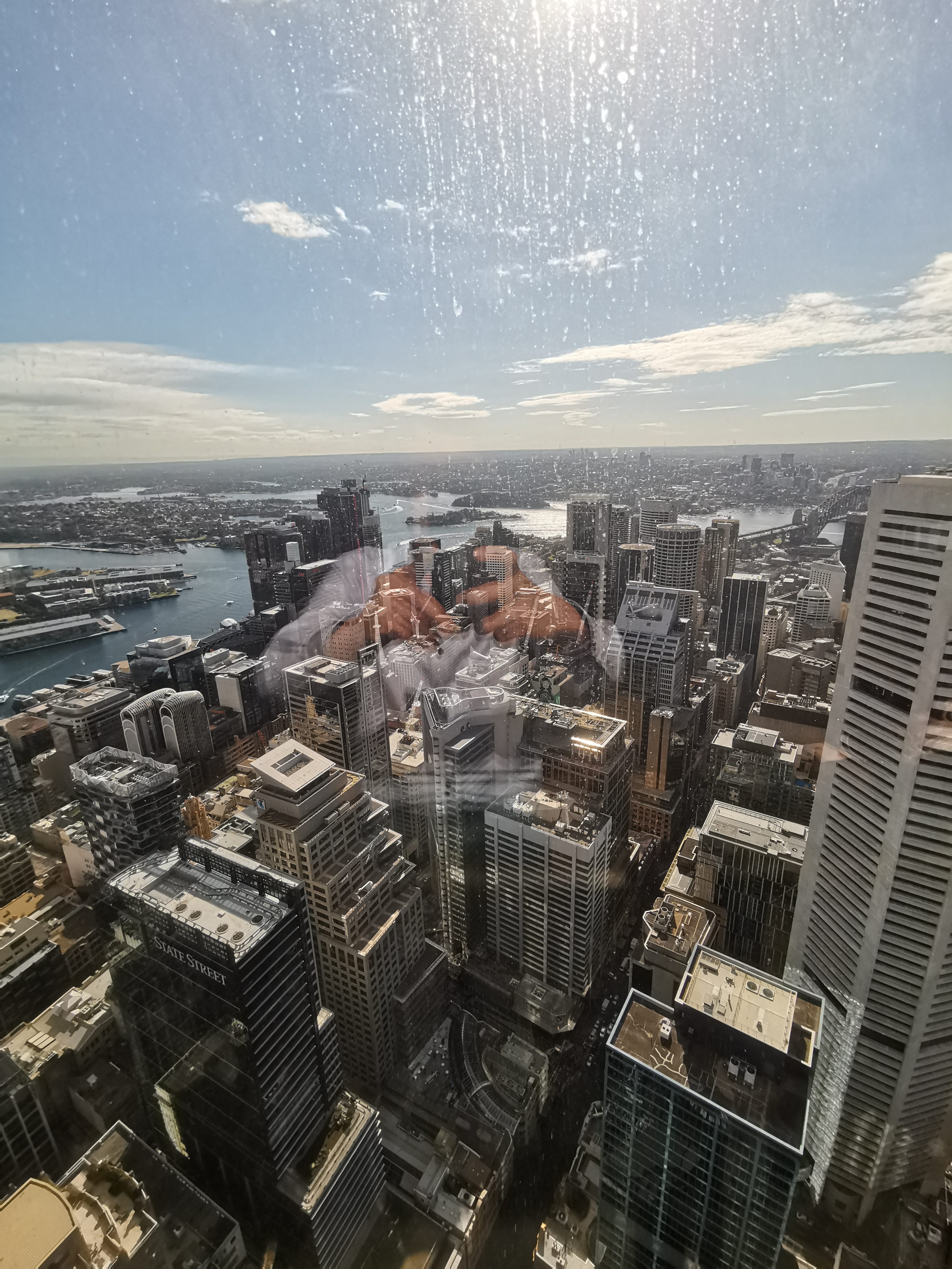 IMG_20190729_130416.jpg