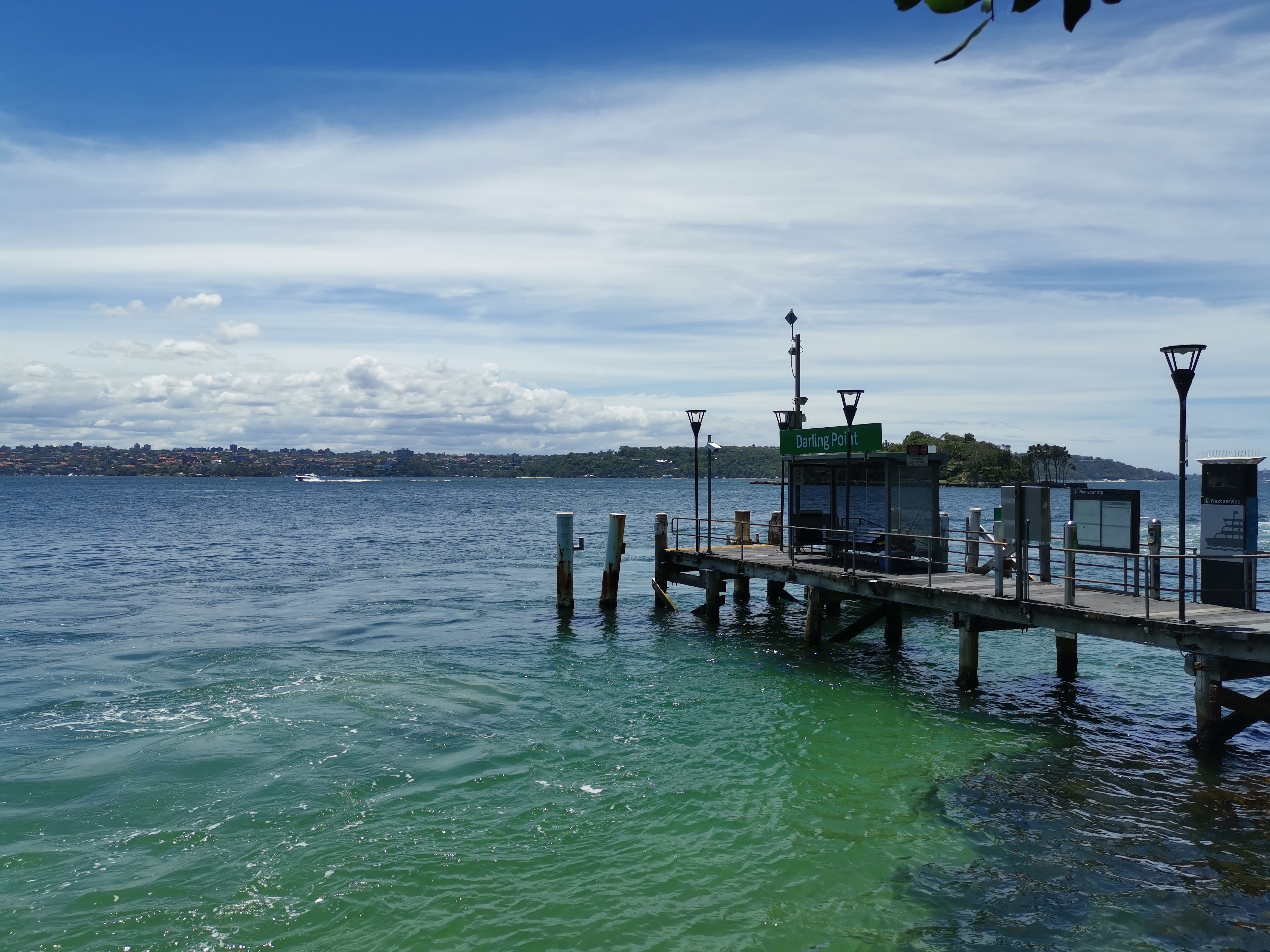 IMG_20201223_131046.jpg