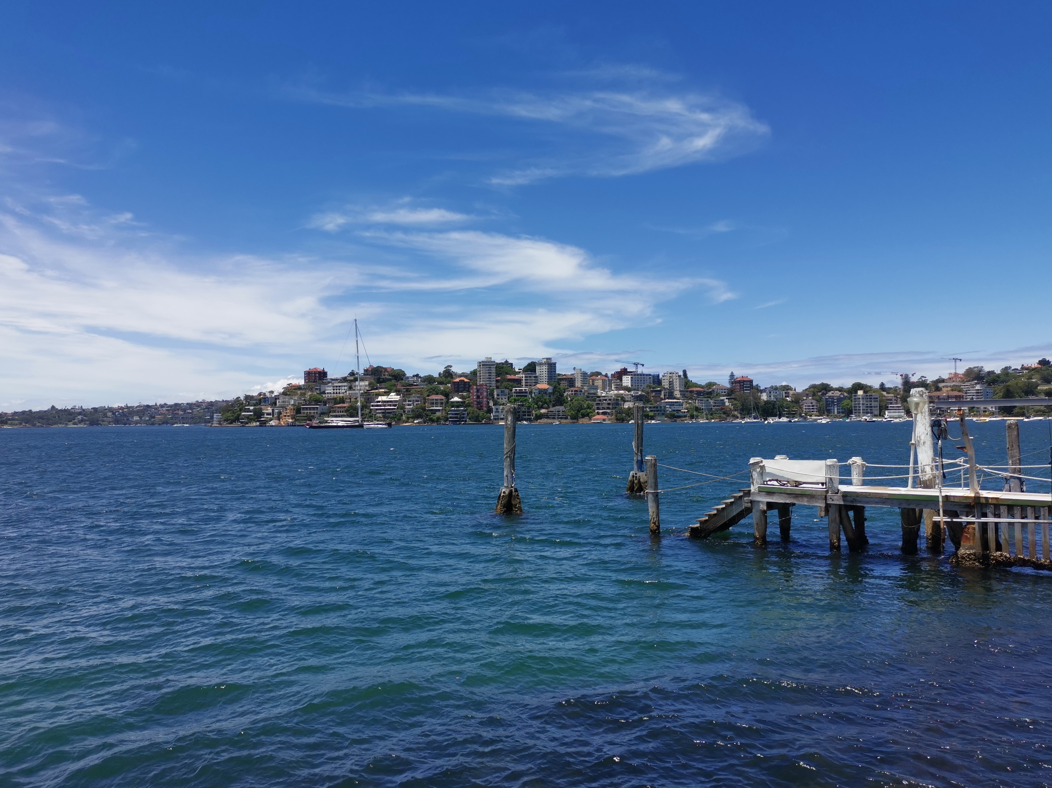 IMG_20201223_131352.jpg