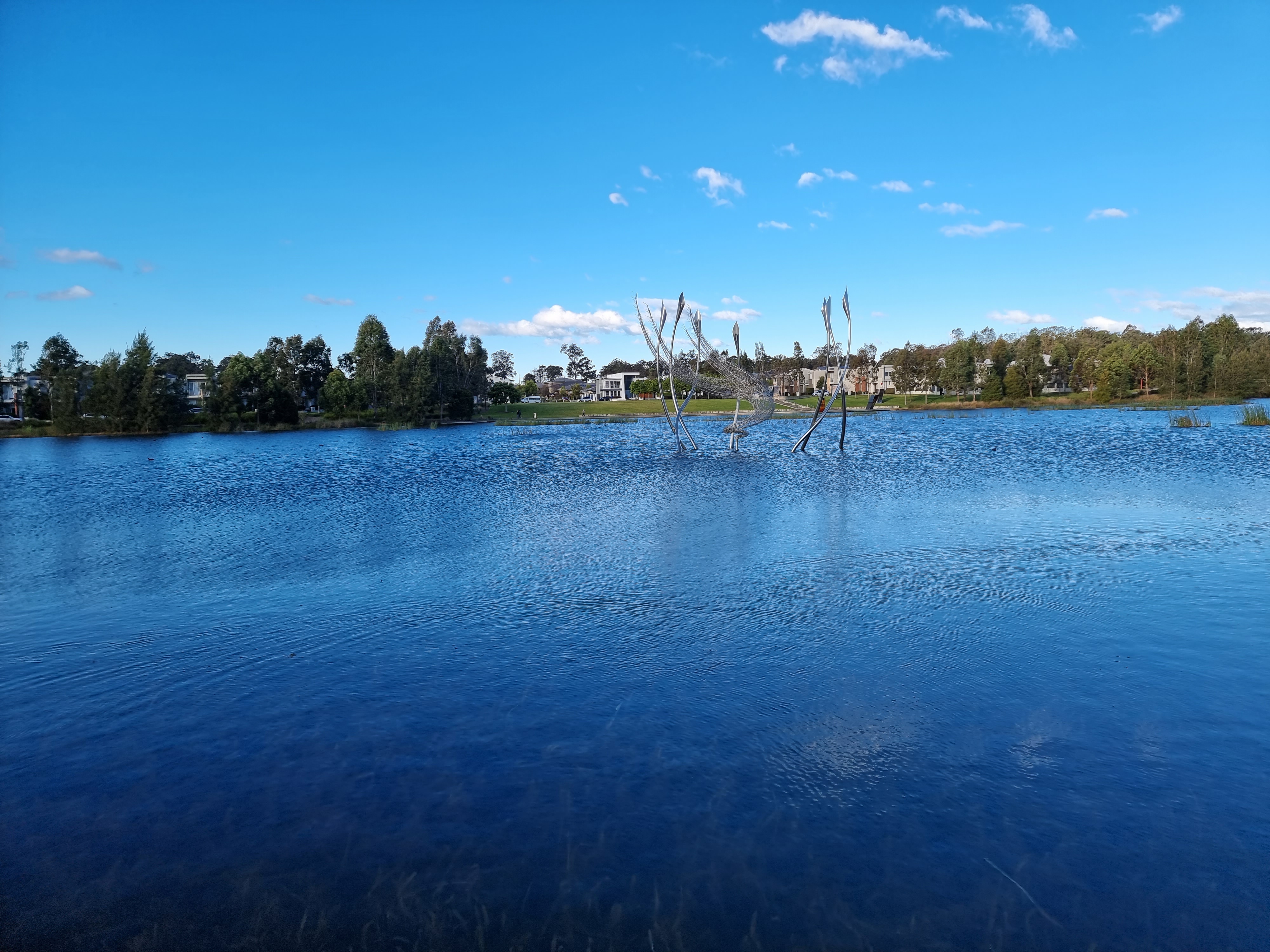 20210725_155347.jpg