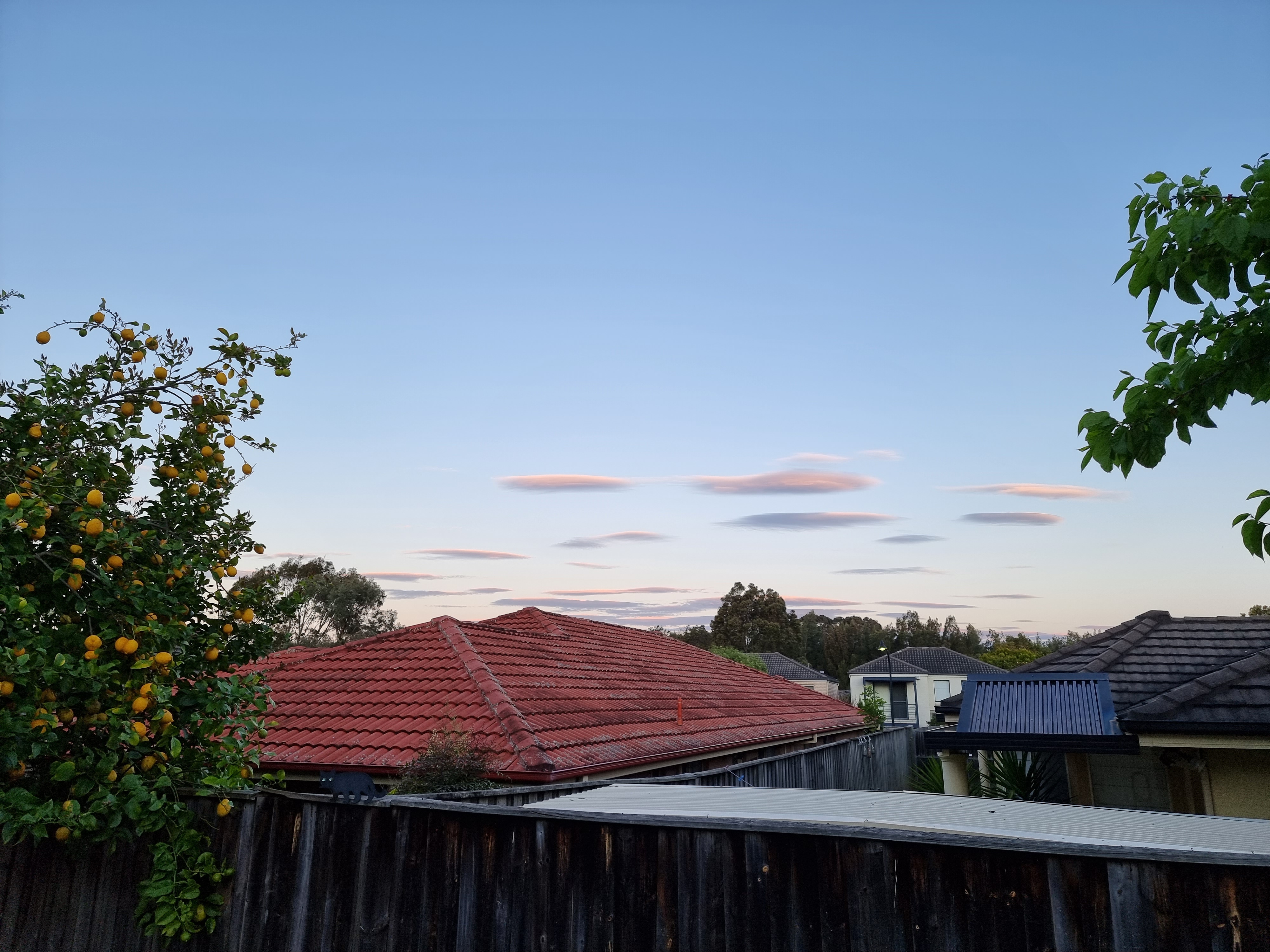 20210912_173800.jpg