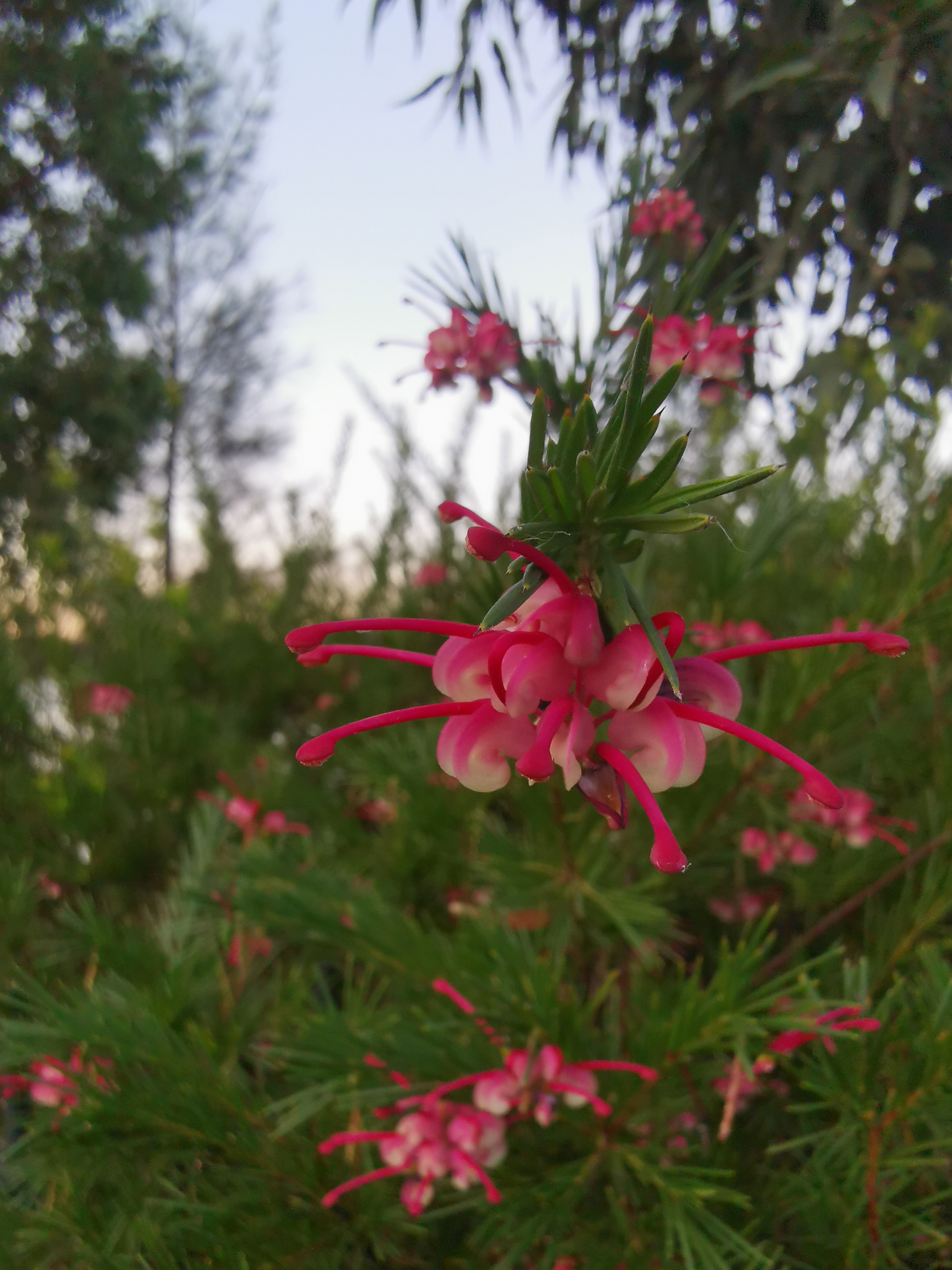 IMG_20200926_174338.jpg