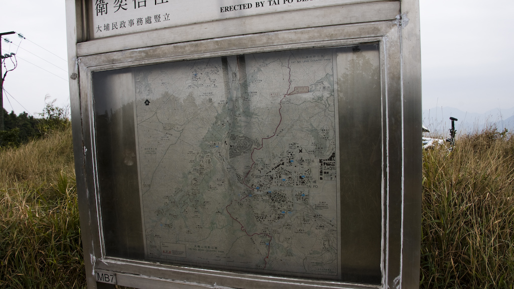 DSC08810.jpg