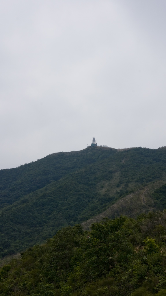 DSC08822.jpg