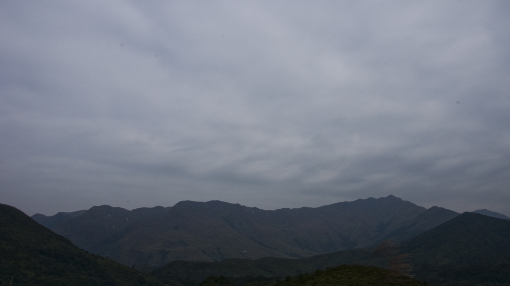 DSC08824.jpg