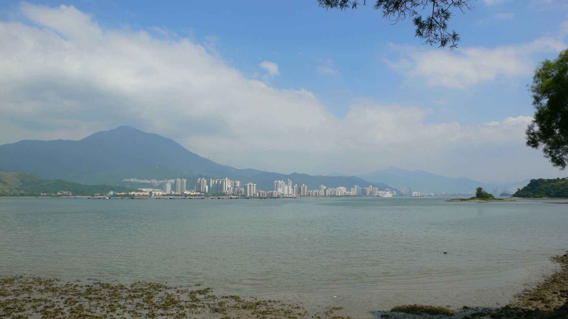 P1000085.jpg