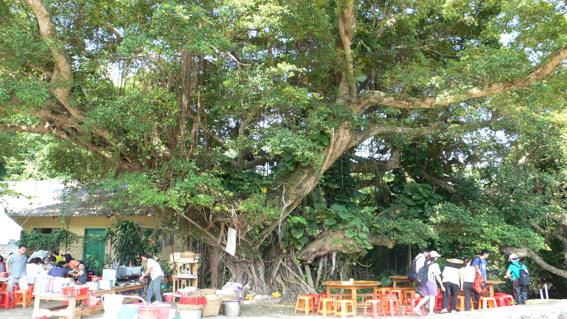 P1000101.jpg