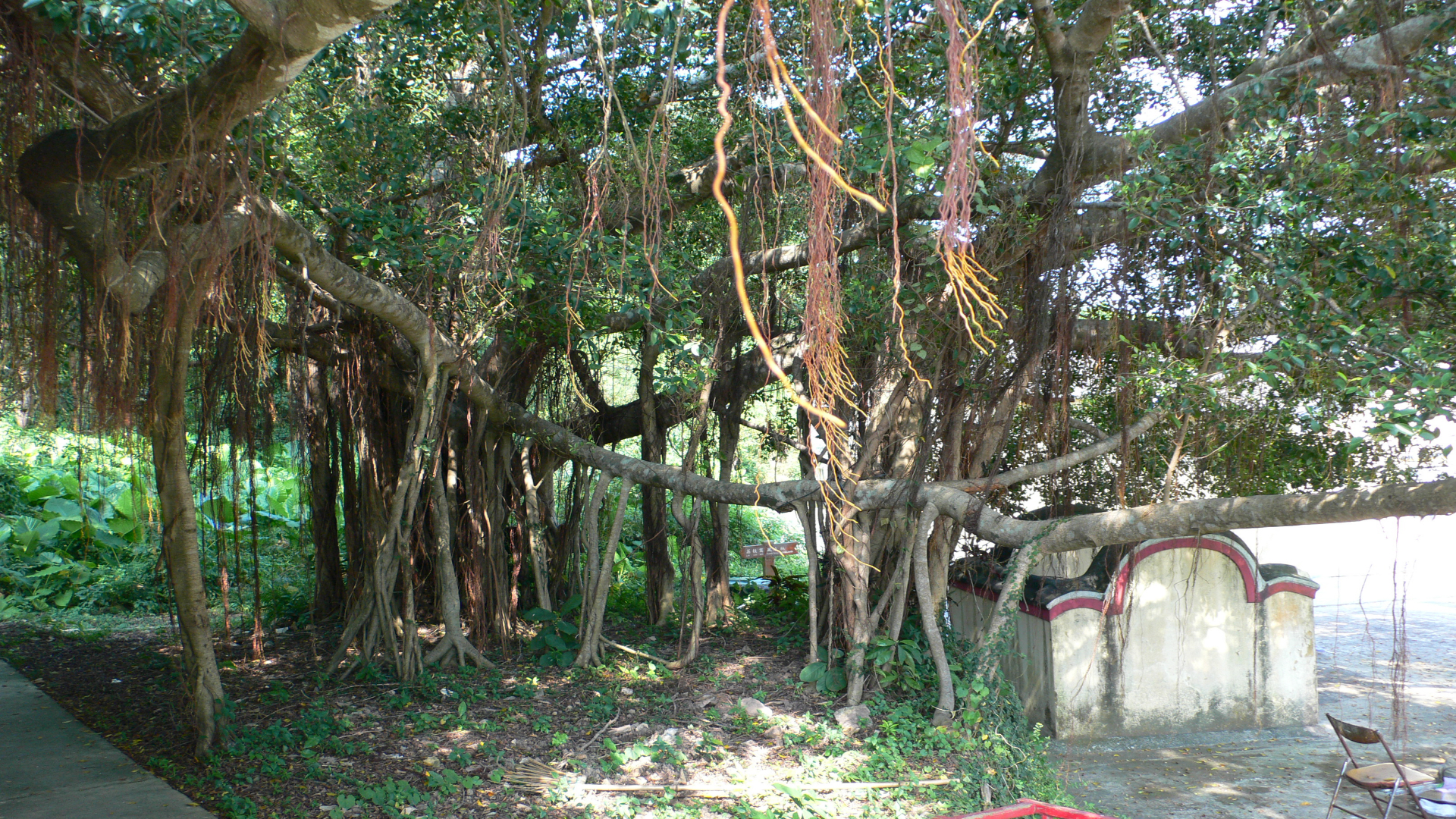 P1000103.jpg