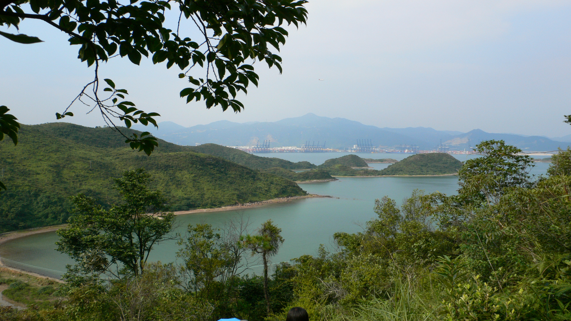 P1000111.jpg