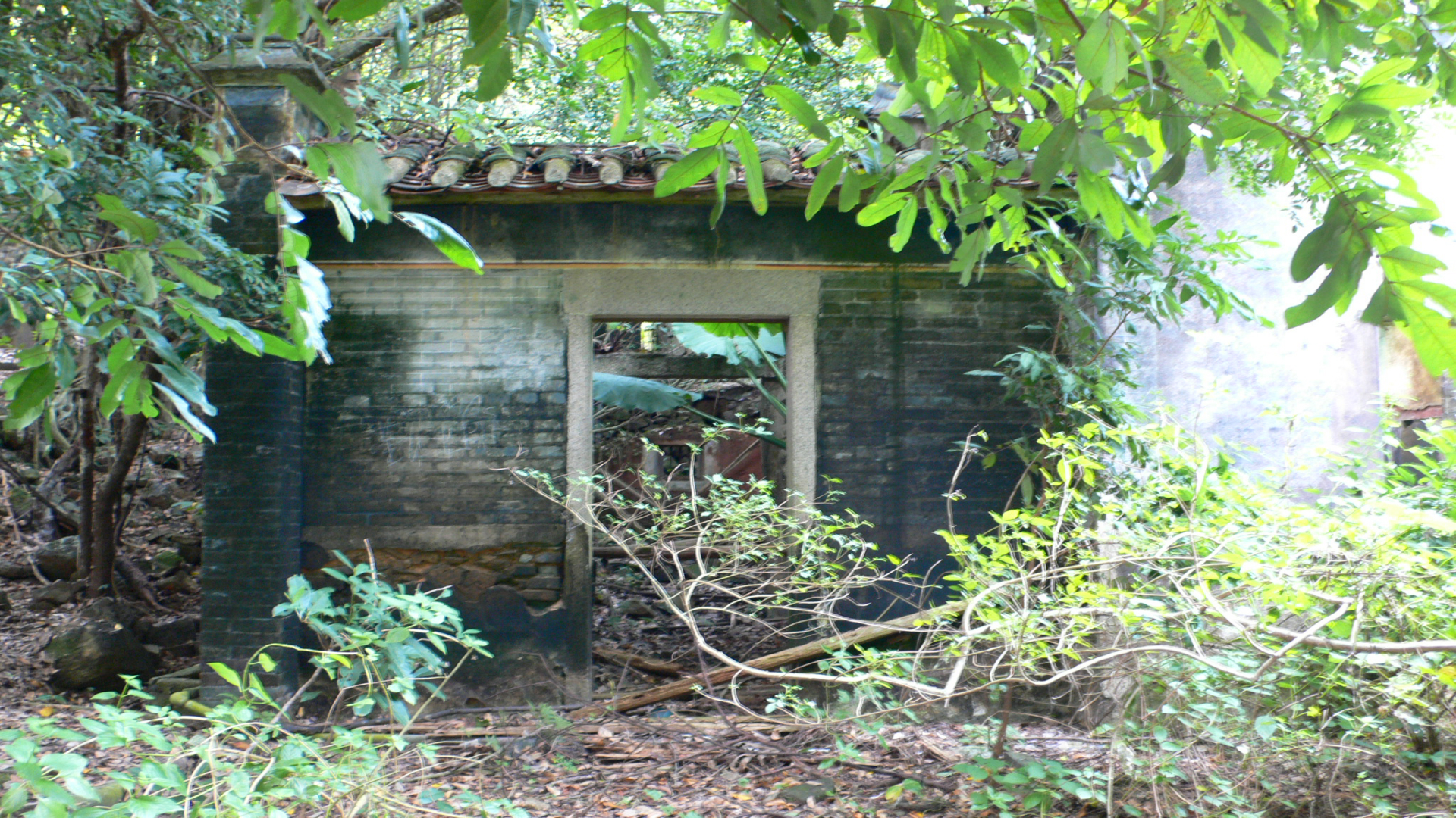P1000119.jpg