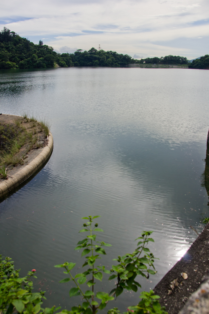 DSC00732.jpg