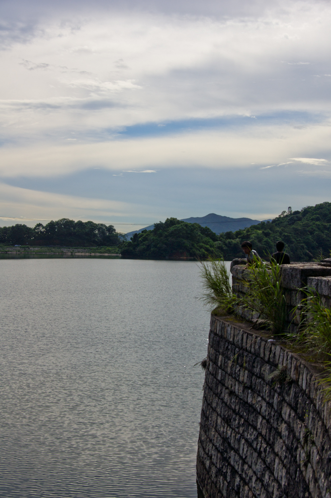 DSC00733.jpg