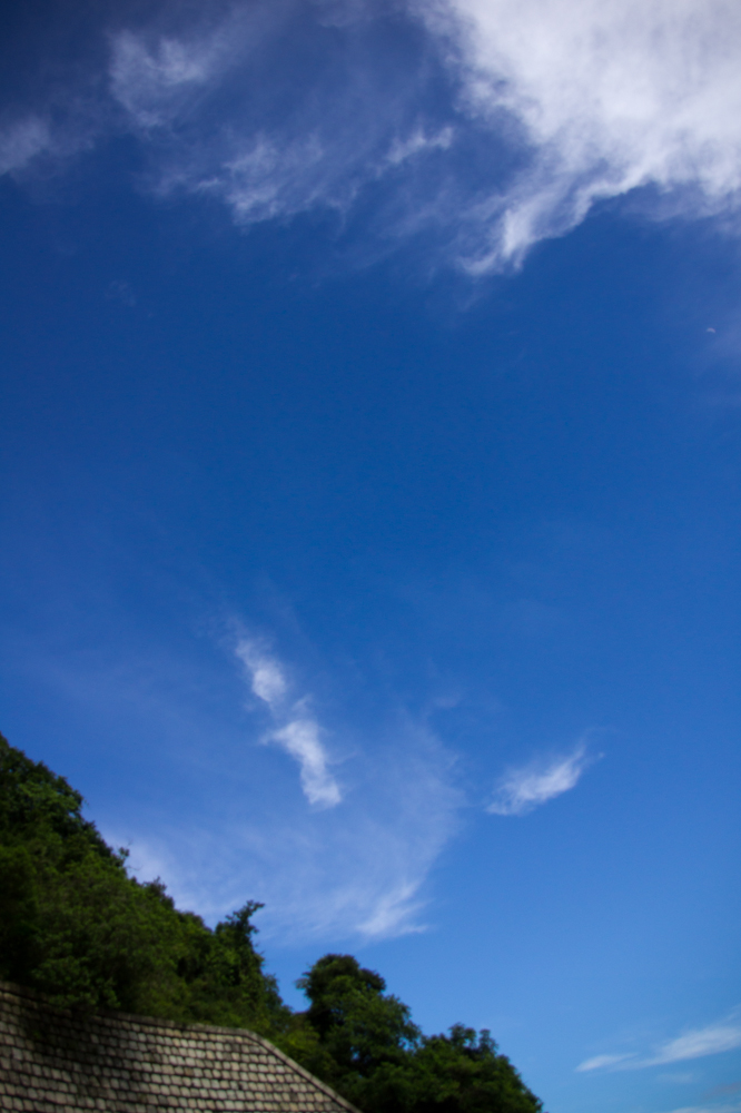 DSC00735.jpg
