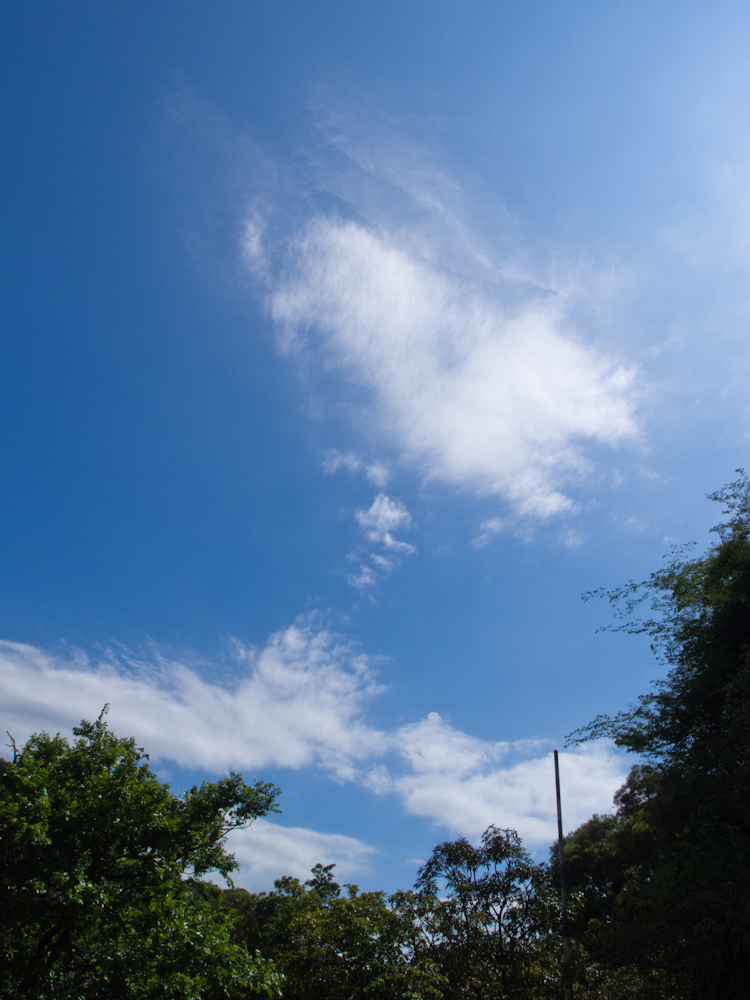 P5100024.jpg
