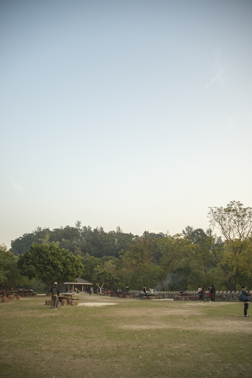 DSC02215.jpg