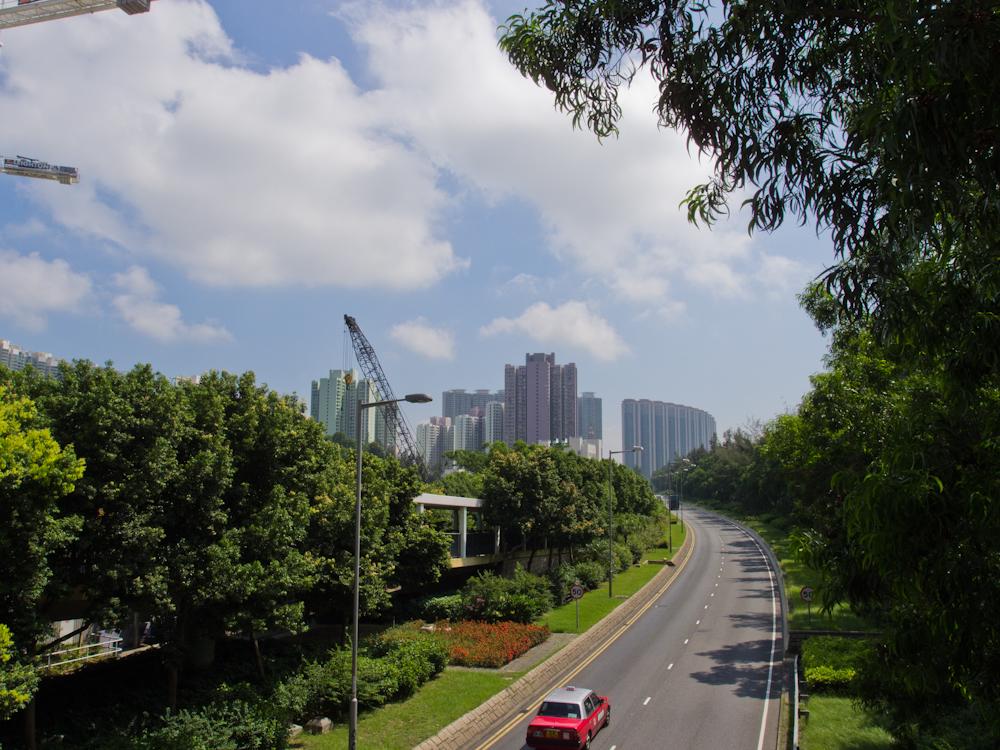 P7240170.jpg