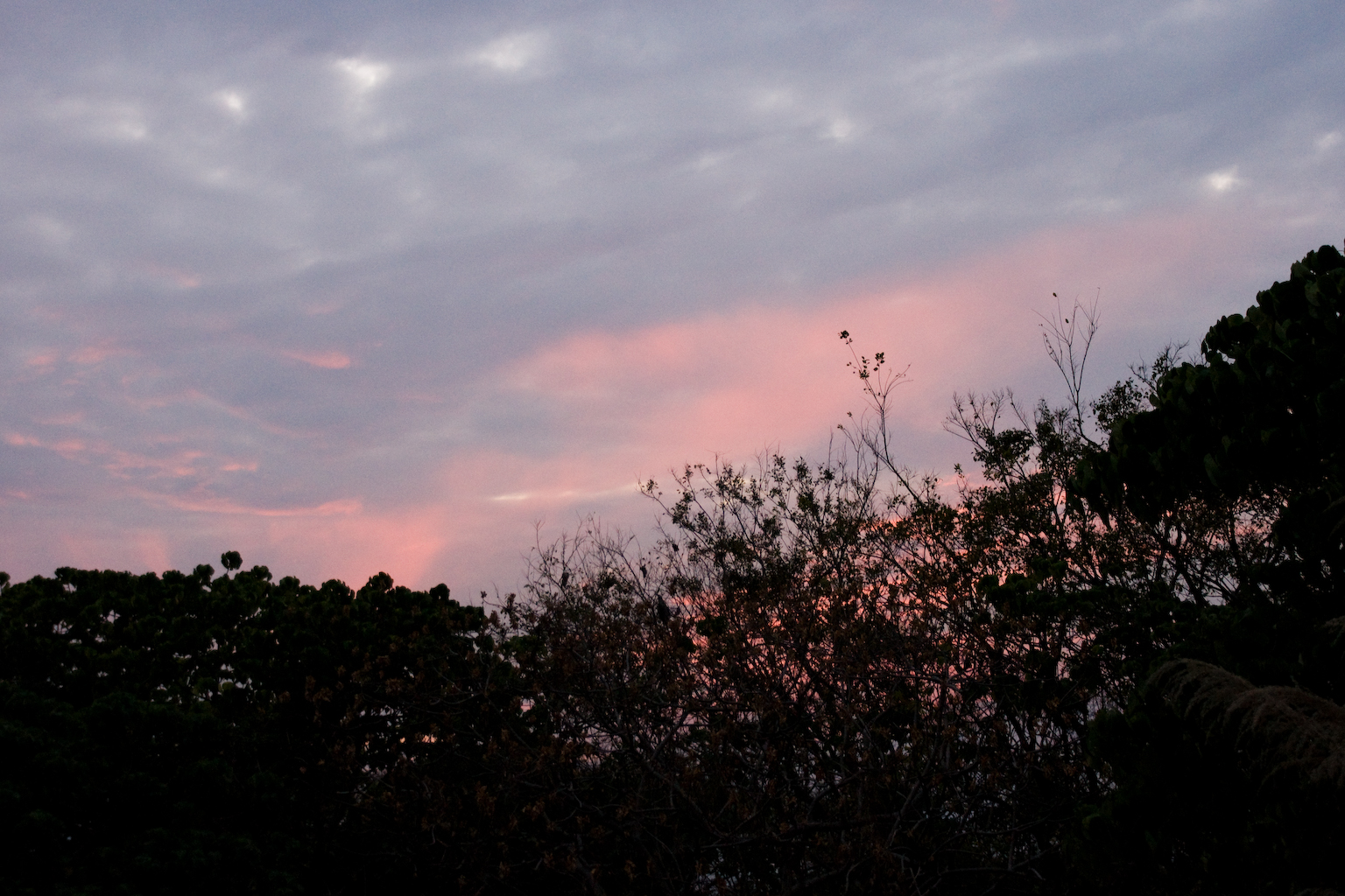 DSC01861.jpg