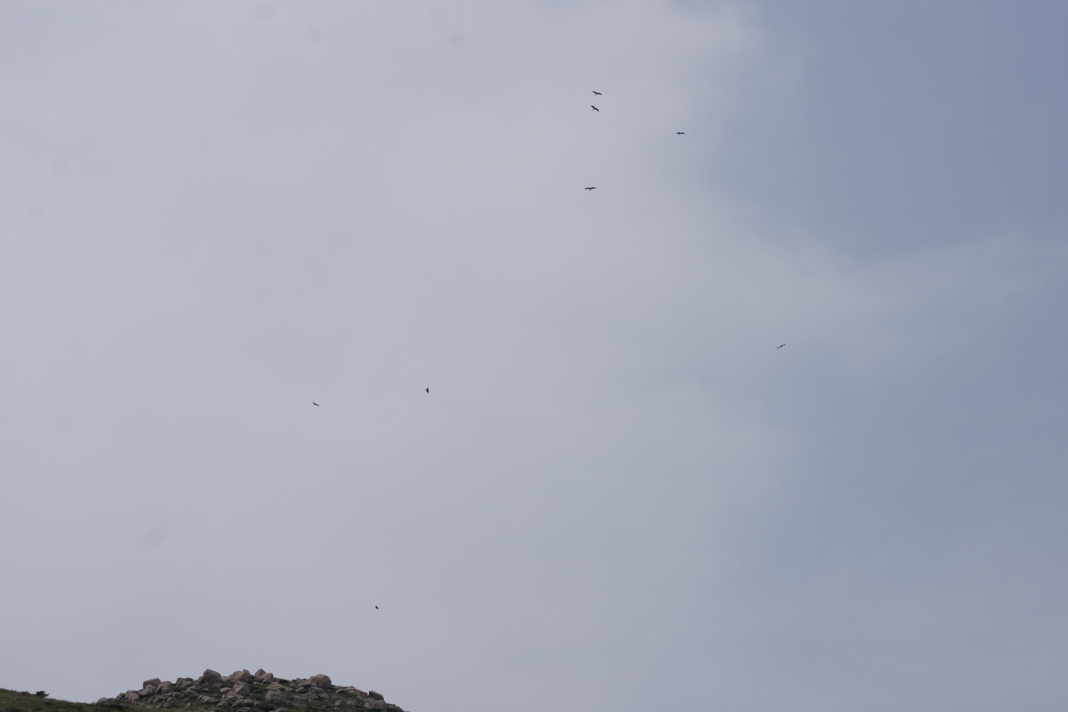 DSC05811.jpg