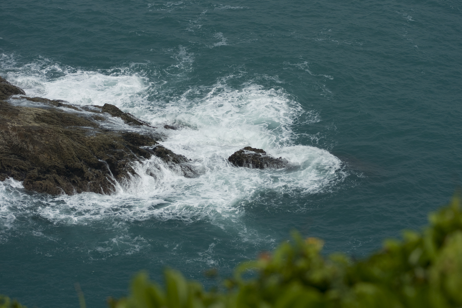 DSC05879.jpg