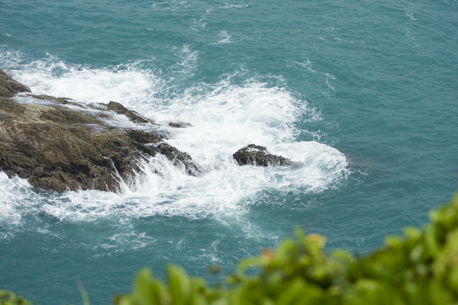DSC05880.jpg