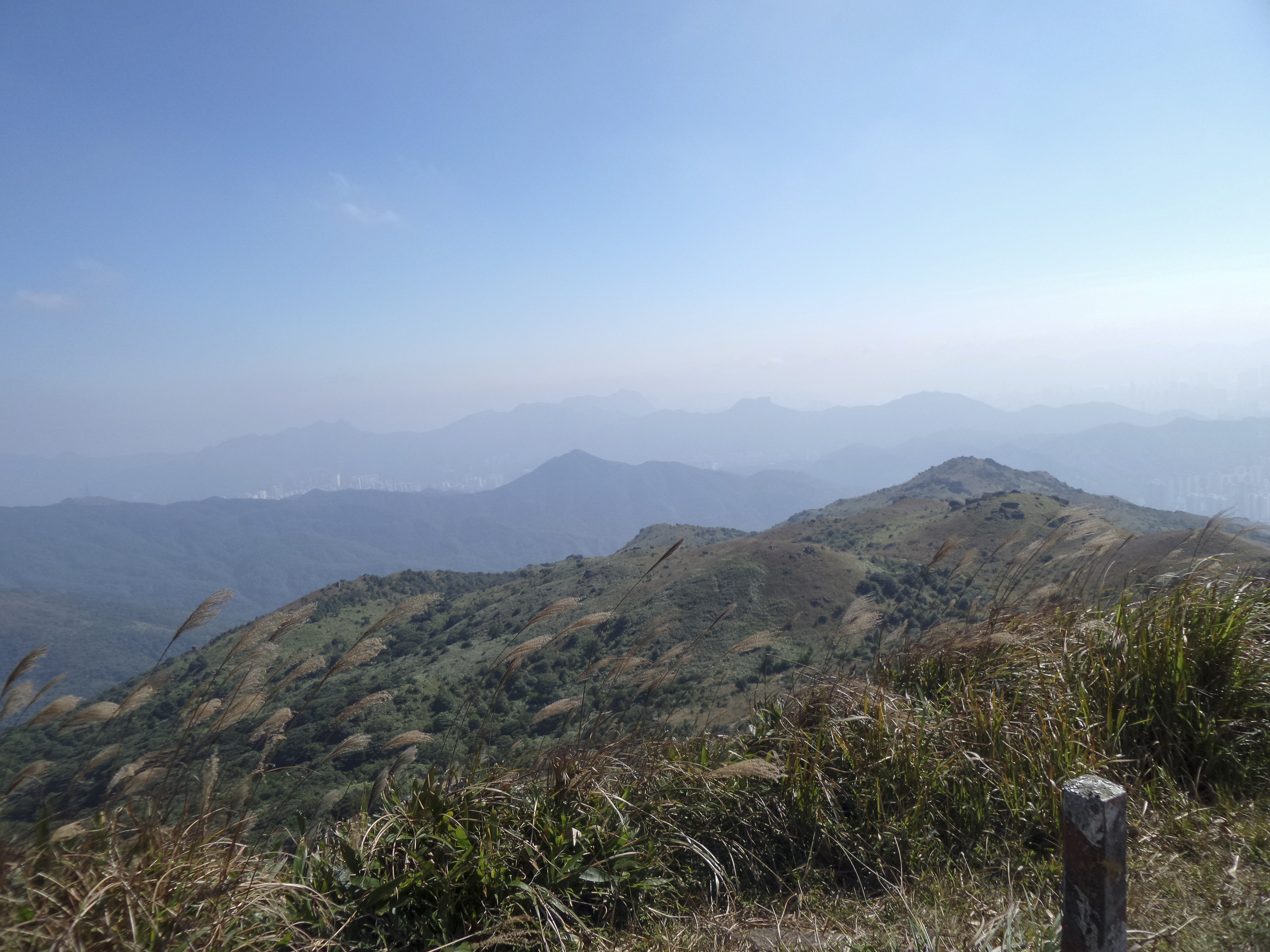 20141122_121139.jpg