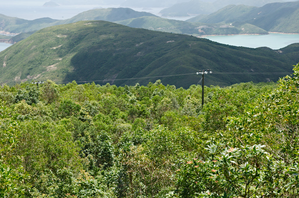 DSC02410_lzn.jpg