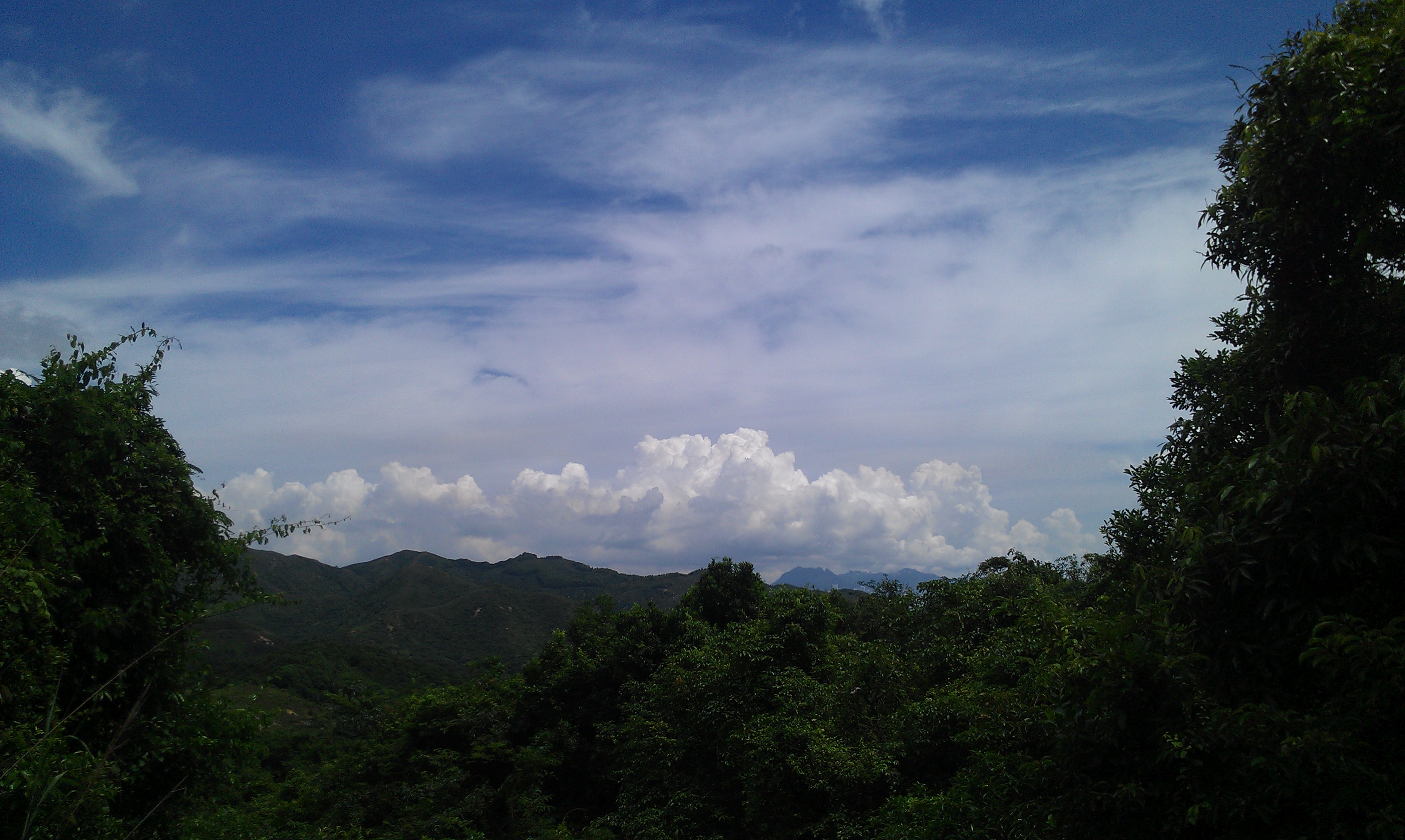 IMAG0289.jpg