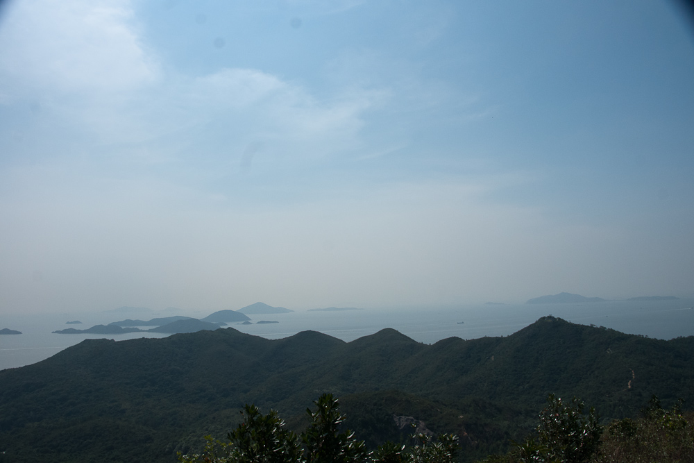 DSC07131.jpg