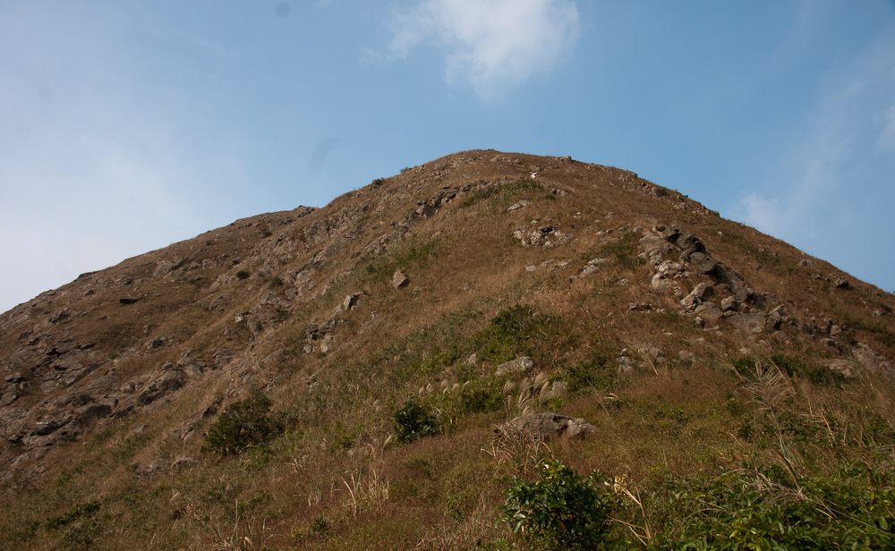 DSC07205.jpg