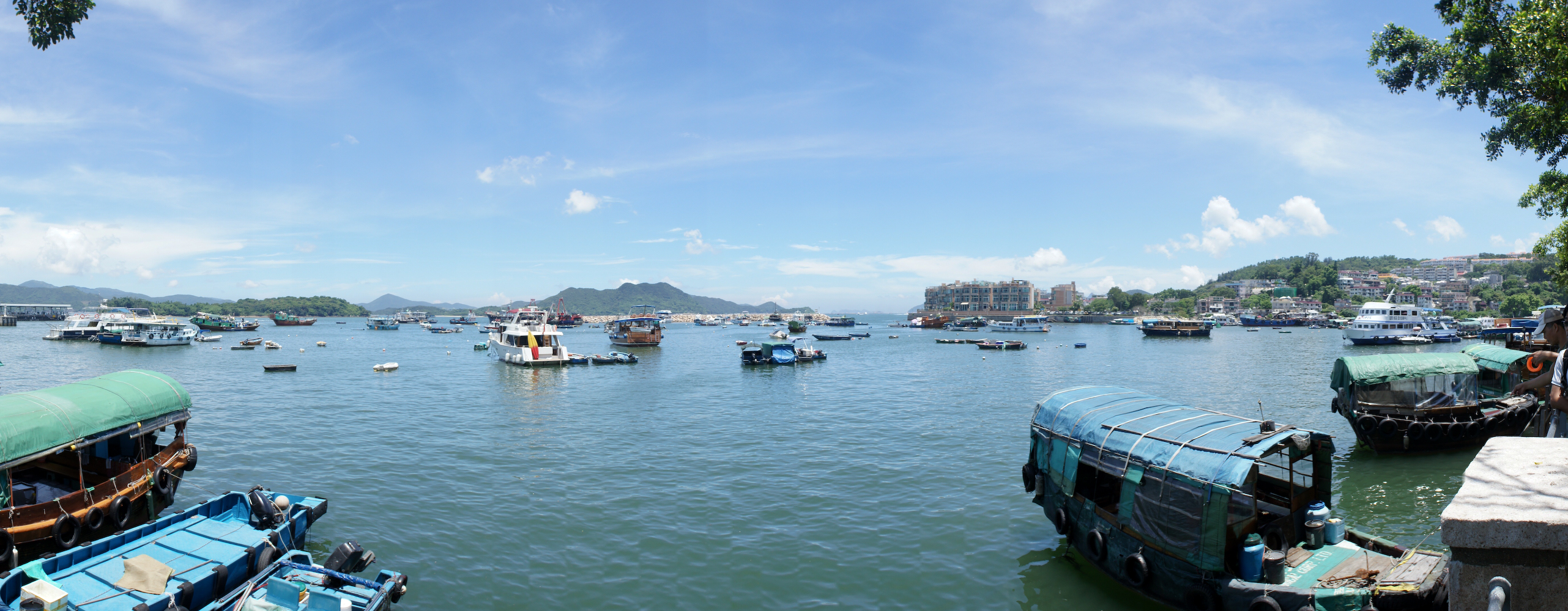 DSC00399.jpg