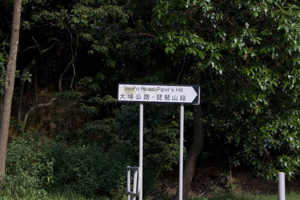 DSC04430.jpg