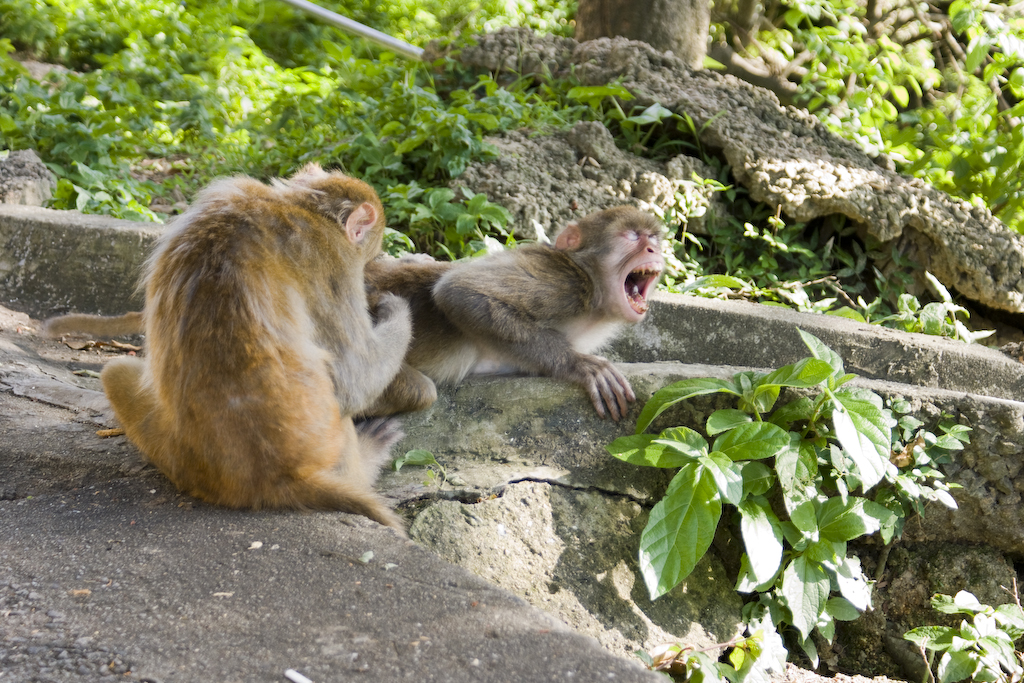 DSC04432.jpg