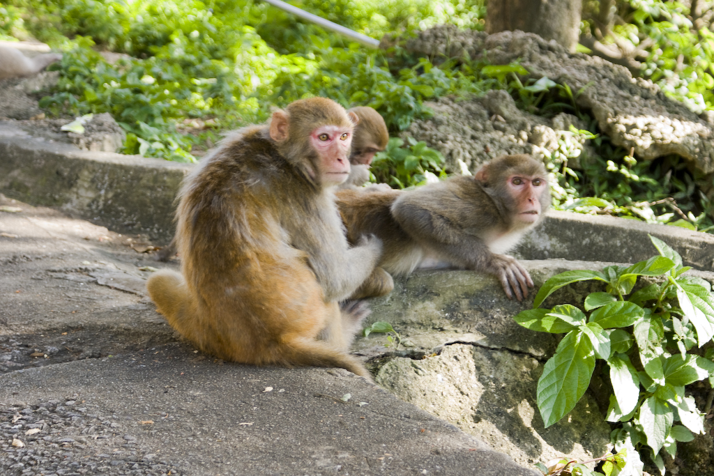 DSC04433.jpg
