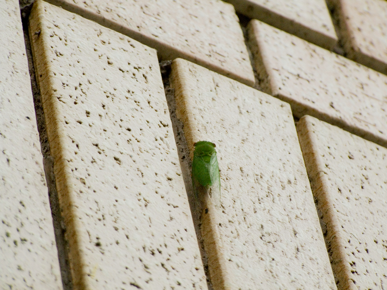 DSCF0003.jpg