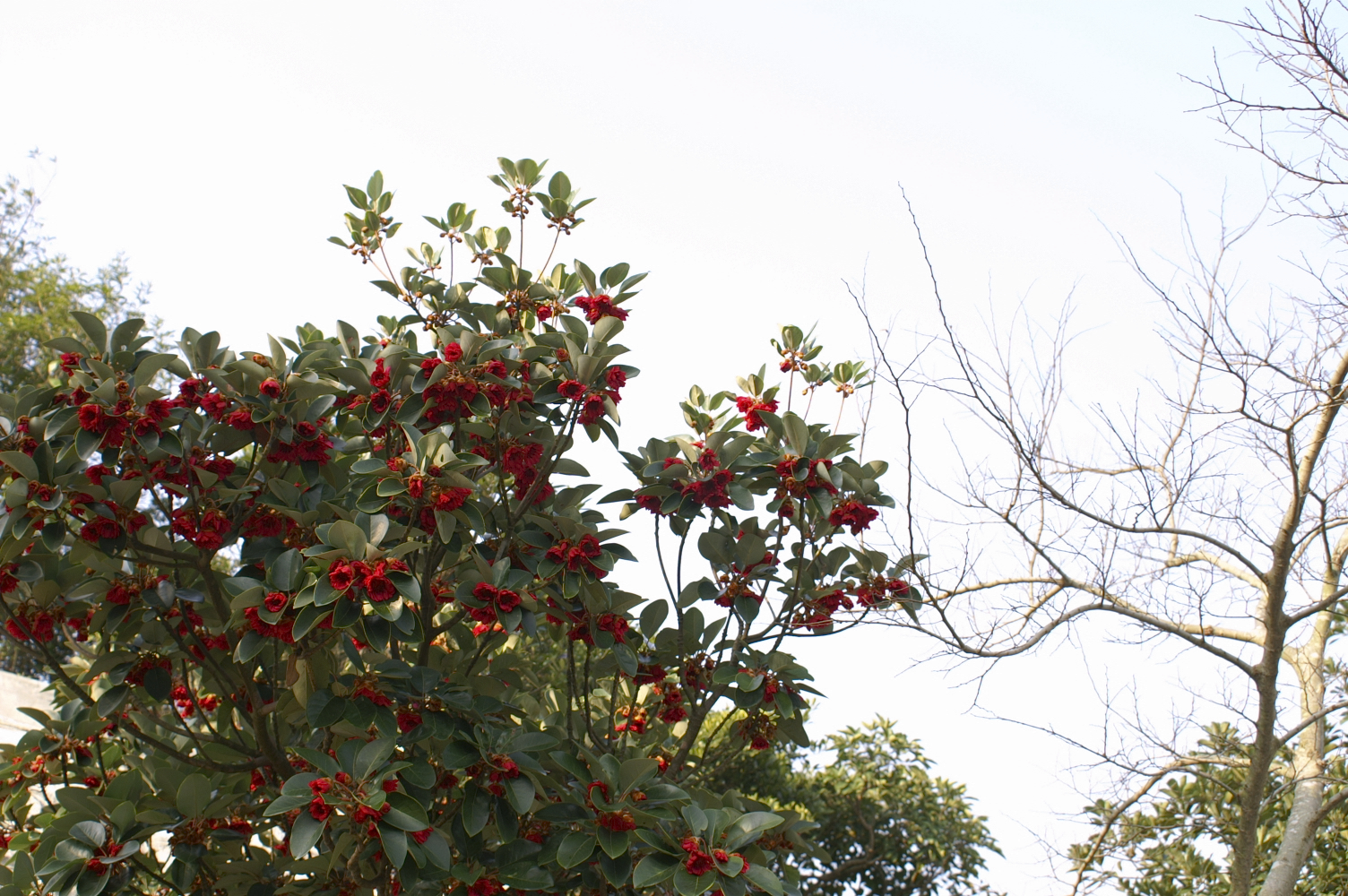 PICT0013.jpg