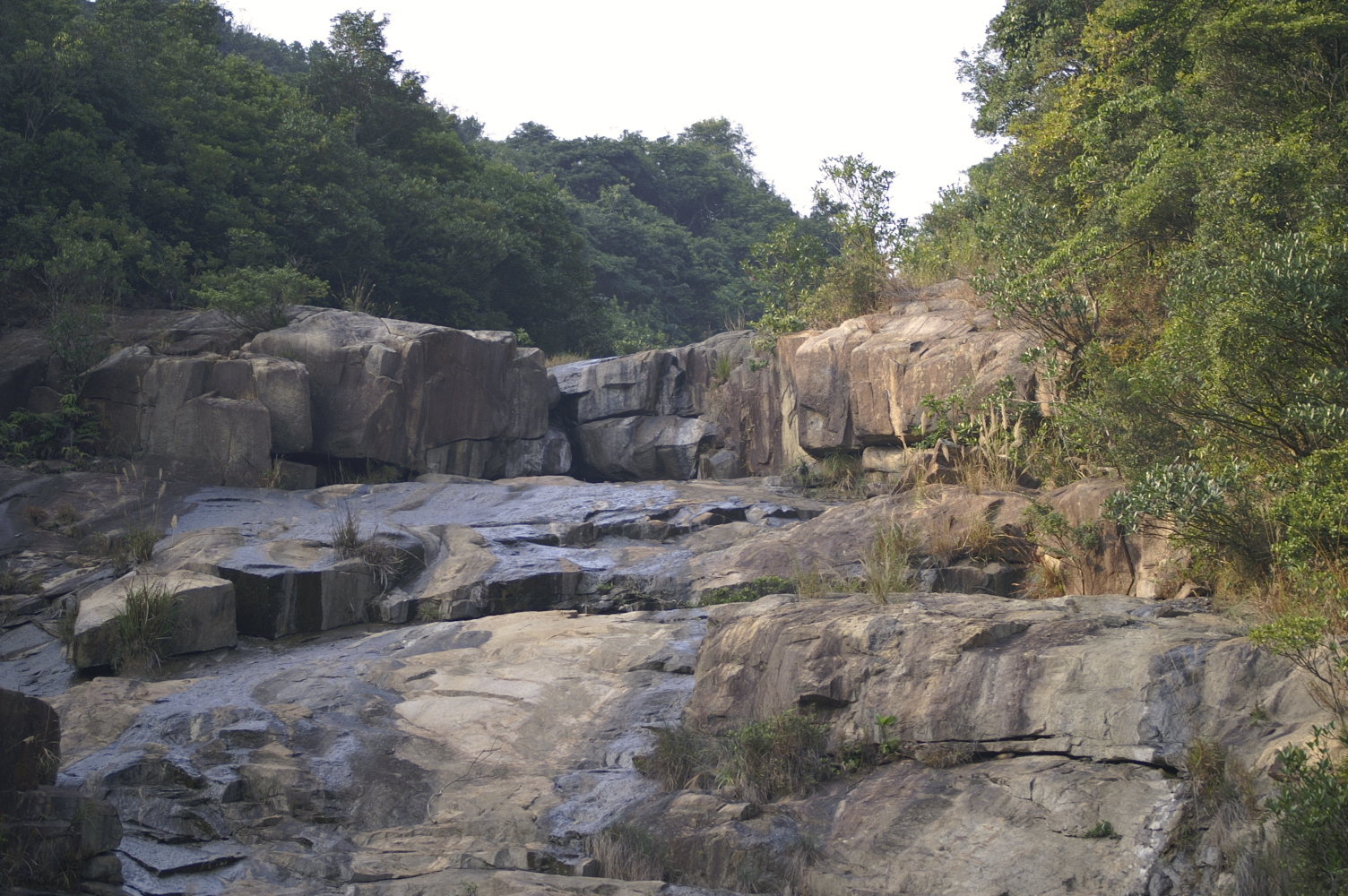 PICT0026.jpg
