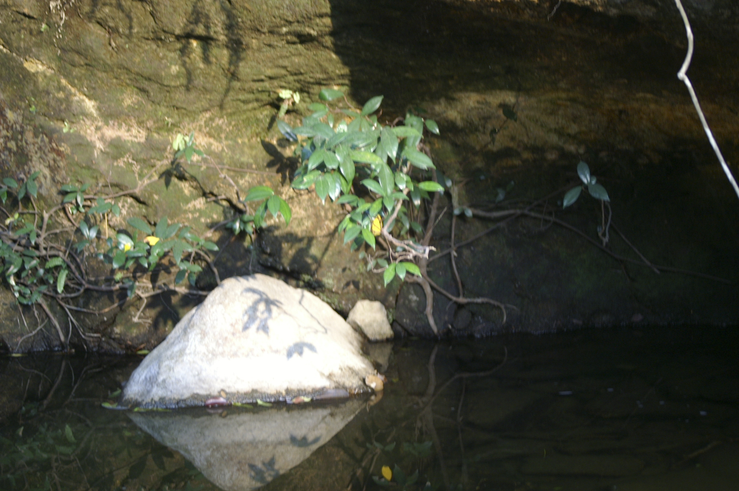 PICT0036.jpg
