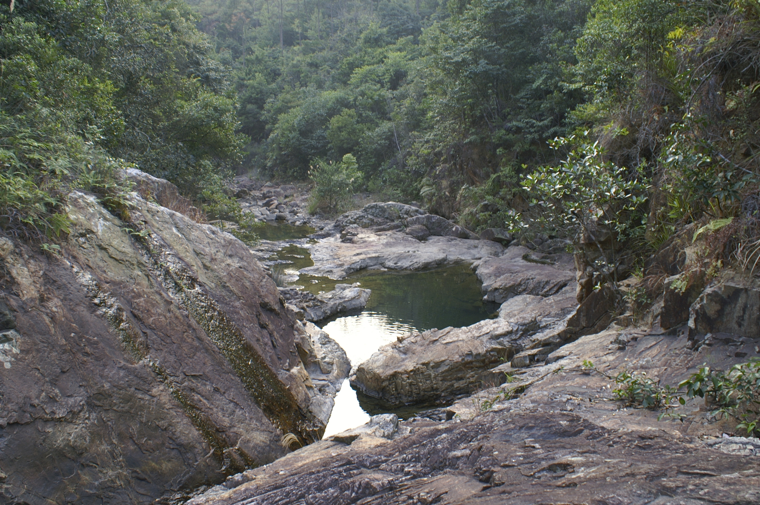 PICT0046.jpg