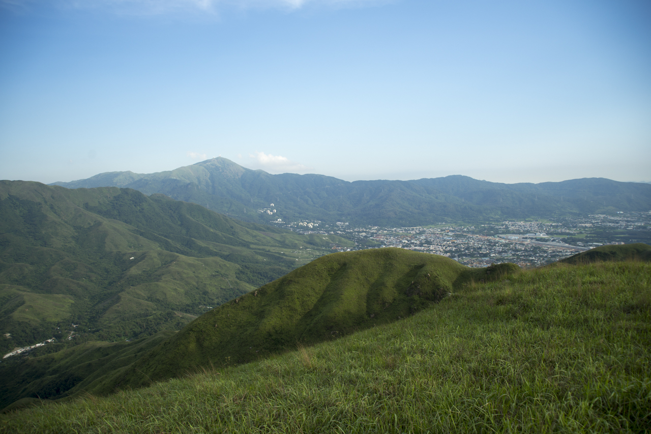 _DSC4787.jpg