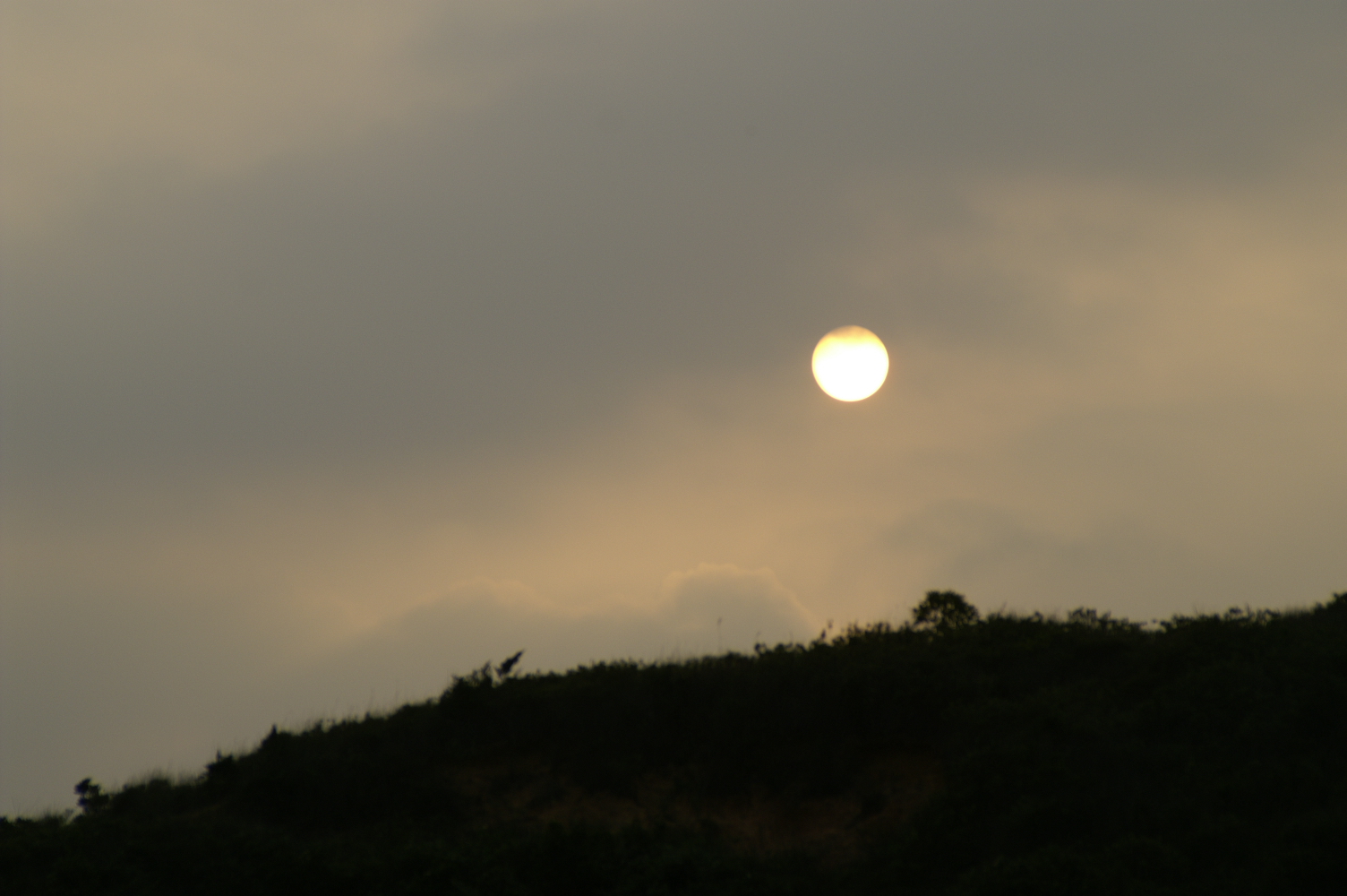 PICT0504.JPE