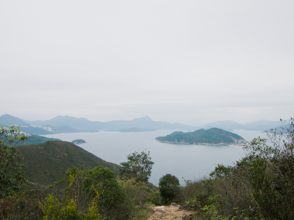P3101967.jpg