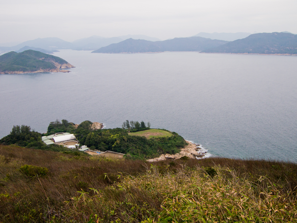 P3101975.jpg