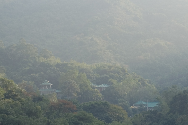 PICT1467.jpg