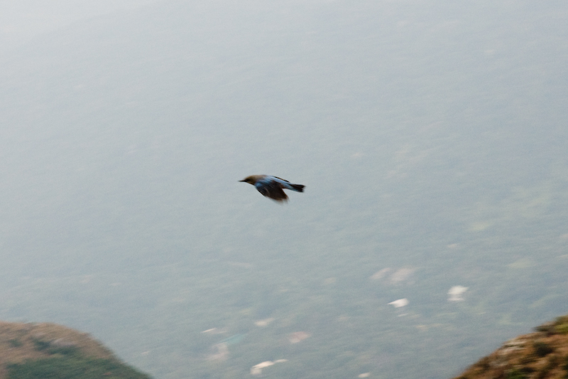 DSC01044.jpg