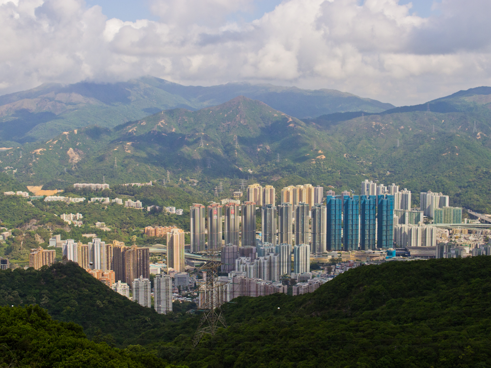 P5101163.jpg