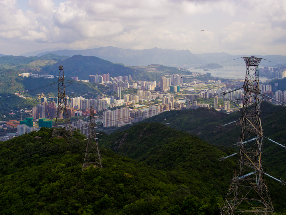 P5101164.jpg
