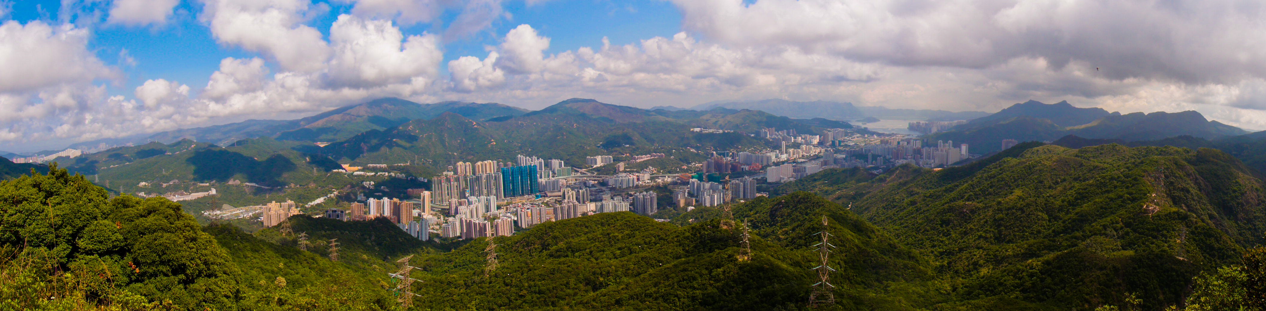 P5101169.jpg