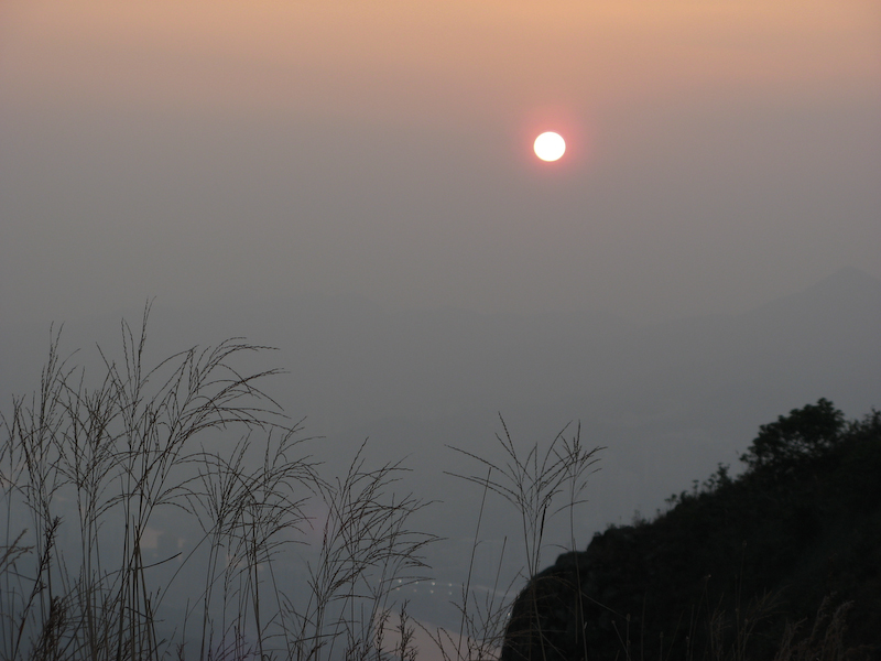 佢有個新名,叫'蘇丹紅'.jpg