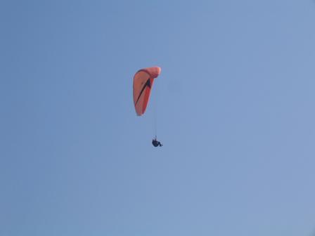 74265606805_0_ALB.jpg