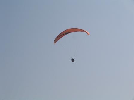 80906606805_0_ALB.jpg